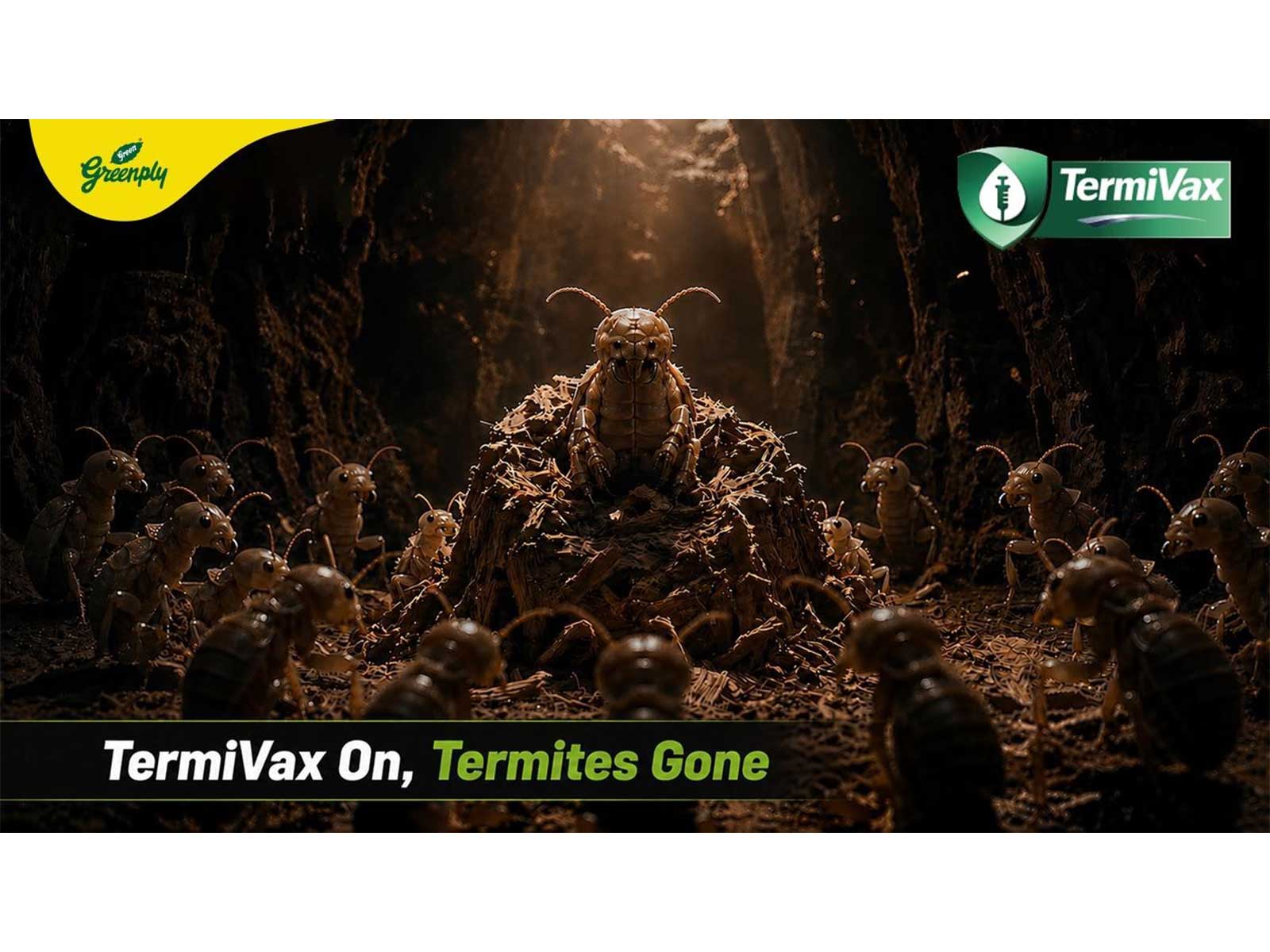 Greenply Launches Termivax, India's First Anti-Termite Vaccinated Technology in Plywood Greenply Launches Termivax, India's First Anti-Termite Vaccinated Technology in Plywood