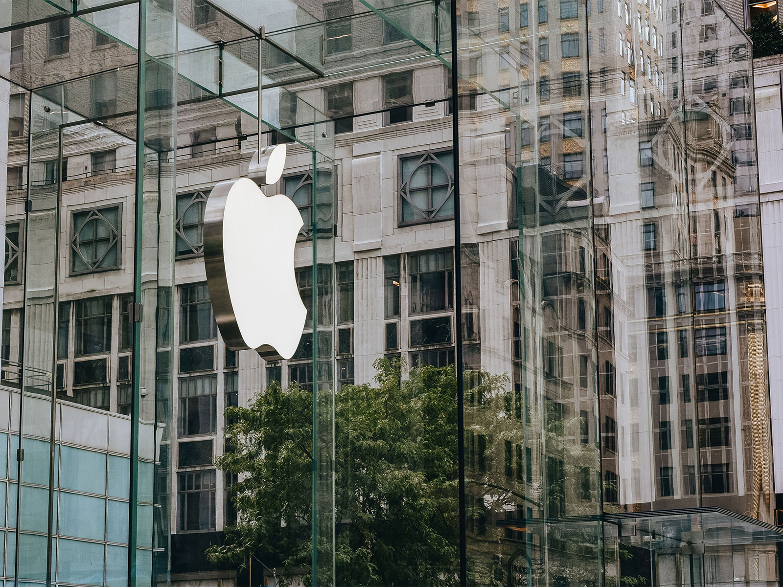 Representative Image (Photo/Pexels) Representative Image (Photo/Pexels)