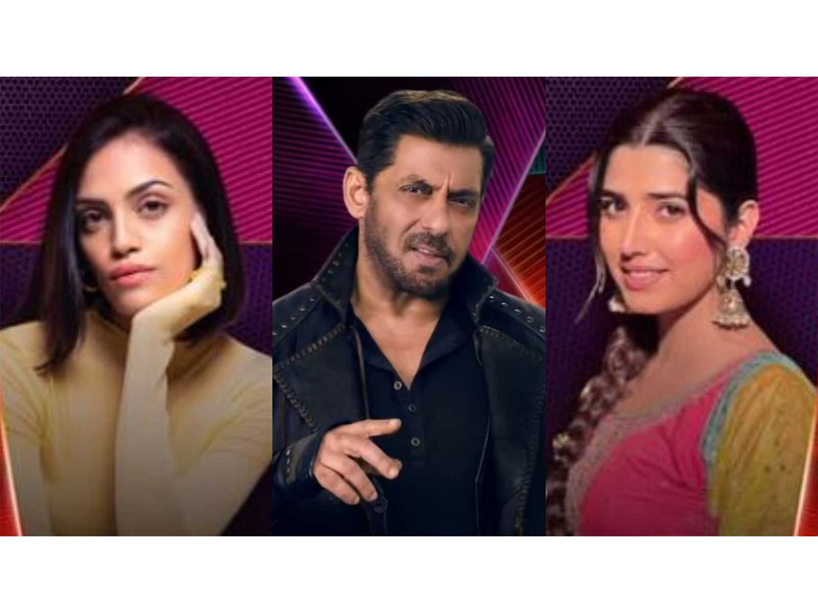 Rhiya Ahir, who went viral during student protests, will battle against Love Gill for a spot in 'Bigg Boss 20'