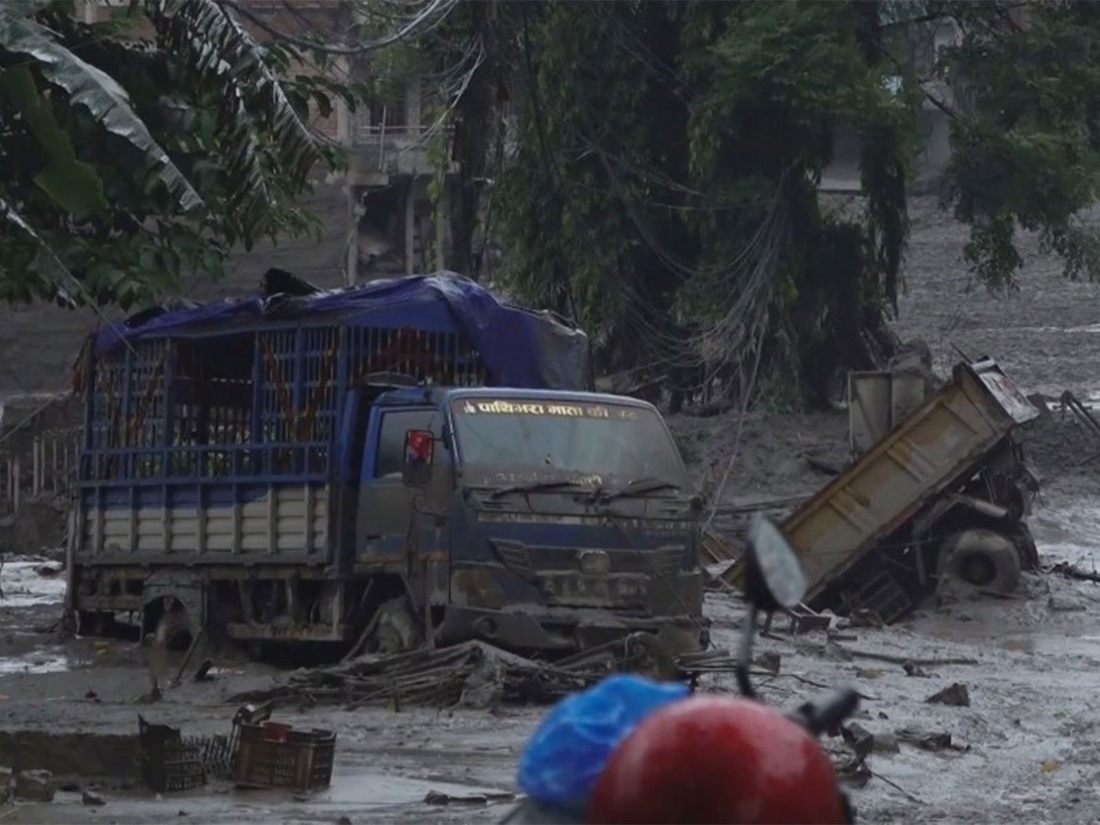 "No adverse impact yet": NDRF monitors border districts amid Nepal deluge, 4 reserve teams on standby