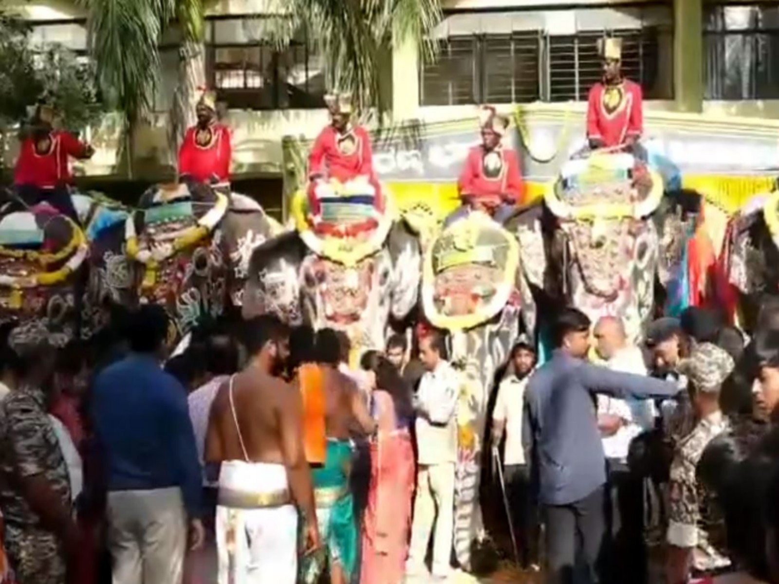 Mysuru Dasara 2026 begins with grand welcome for elephant squad
