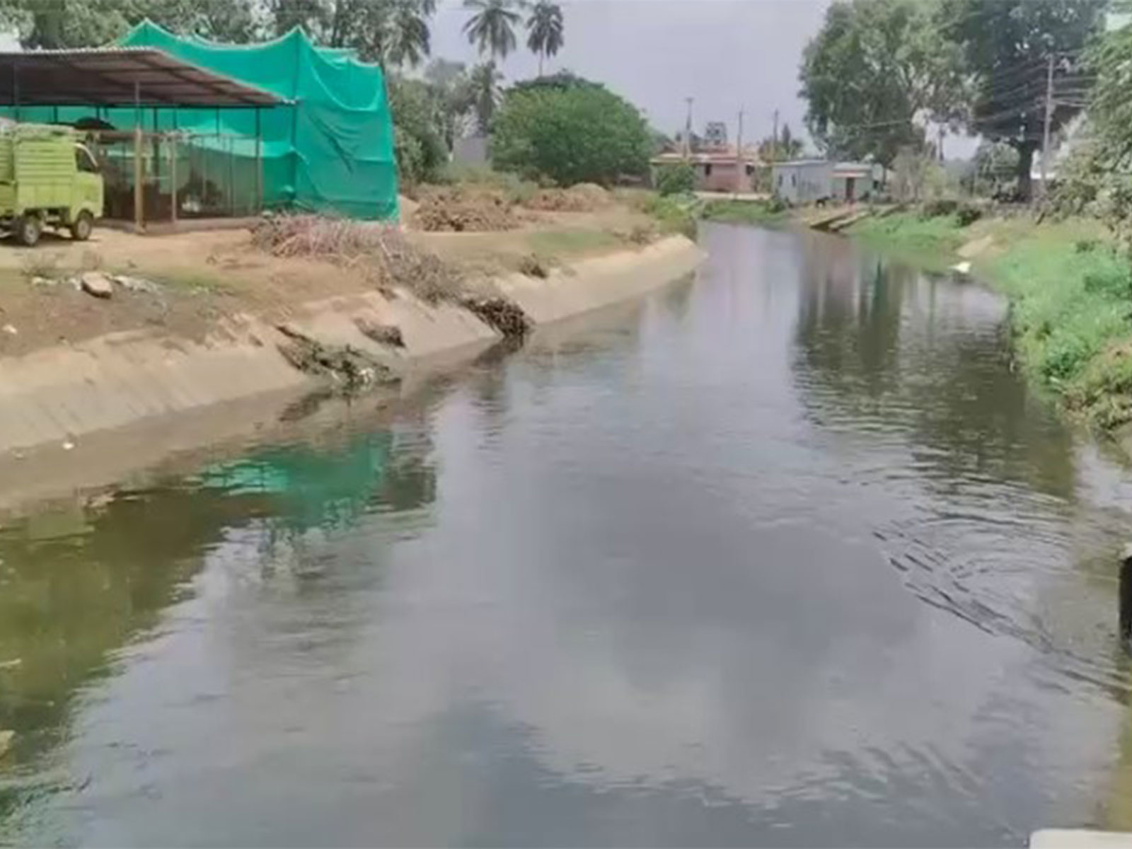 Karnataka: Mandya farmers resume paddy transplantation preparations despite state advisories, water scarcity