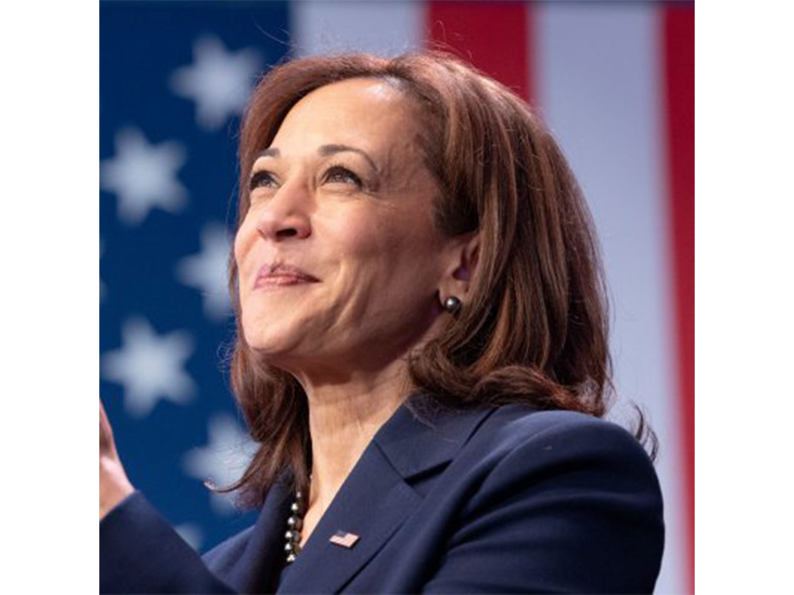 Former US Vice President Kamala Harris calls for AI guardrails, says slowdown needed to protect ‘public interest’