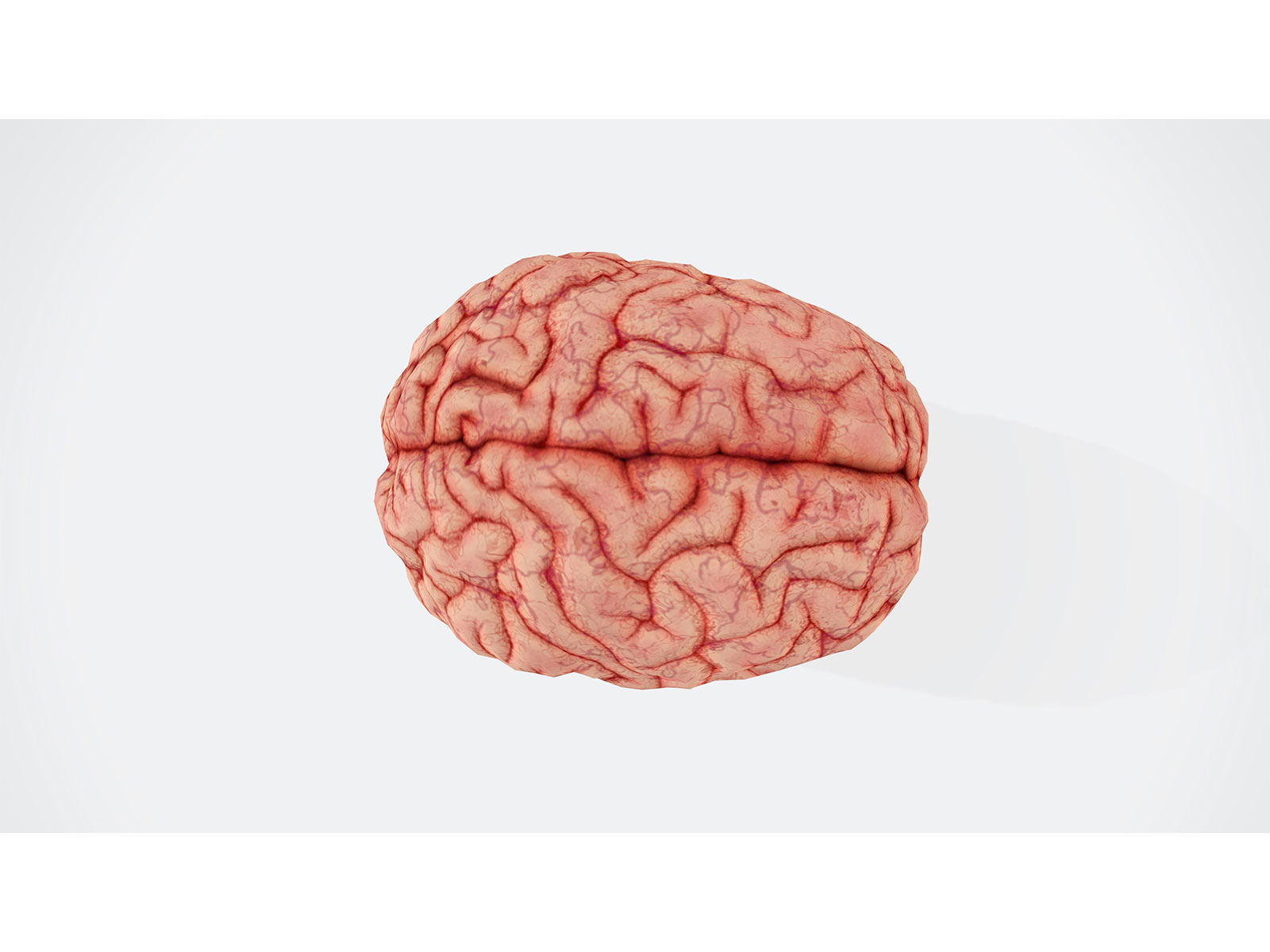 Brain activity can predict risky decisions before they happen: Study