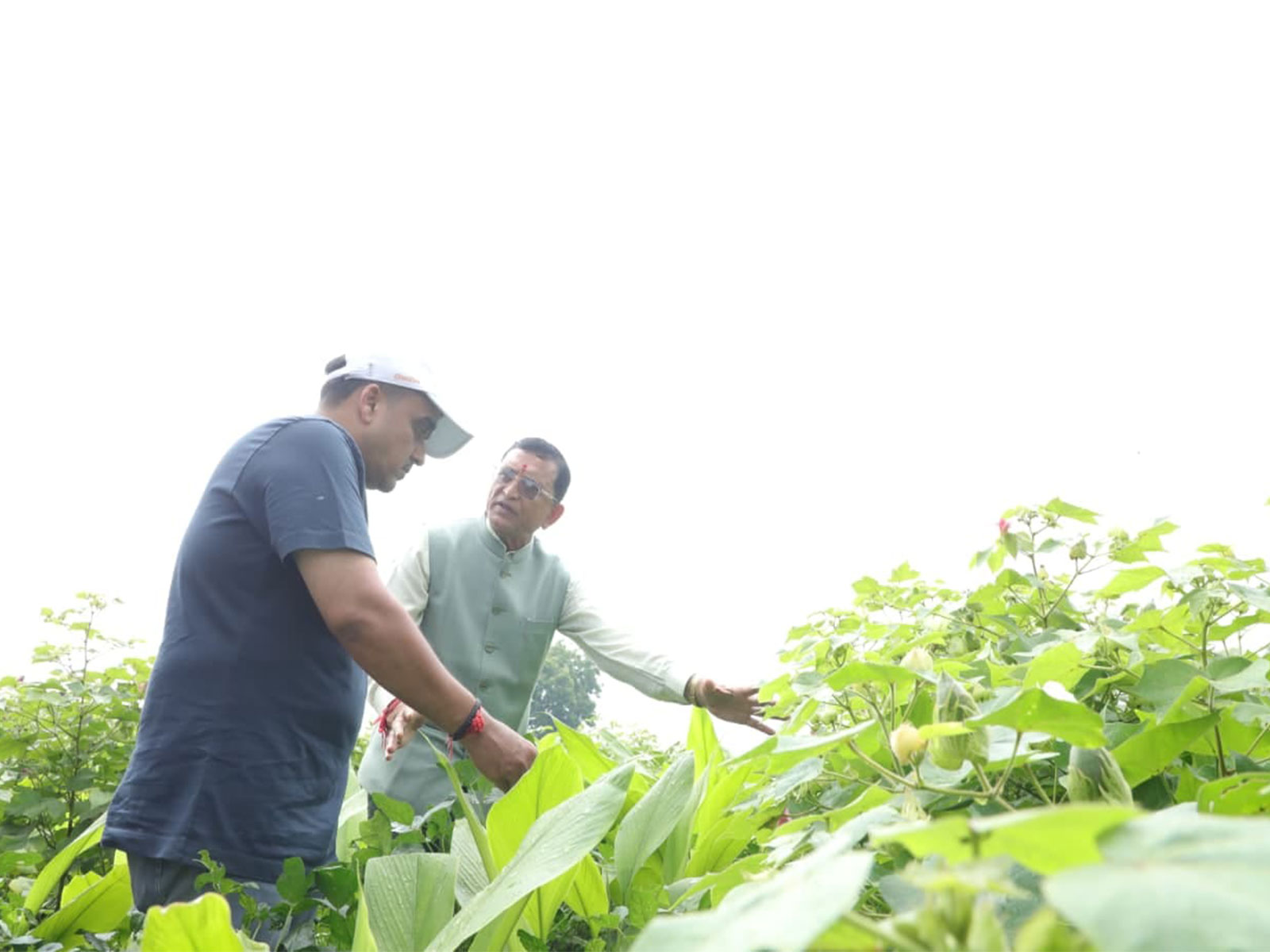 Gujarat DyCM Sanghavi interacts with farmers during ‘Prakruti Krushi Samvad’ in Gujarat’s Halol under Seva Sankalp Abhiyan