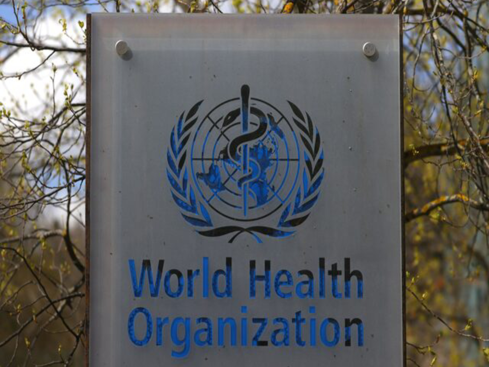 WHO South-East Asia immunization experts meet focuses on measles outbreaks, closing immunity gaps