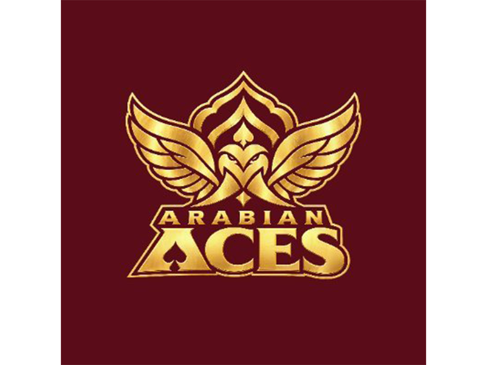 "It is an explosive format": Head coach Lance Kluesner confident Arabian Aces can excel in Abu Dhabi T10