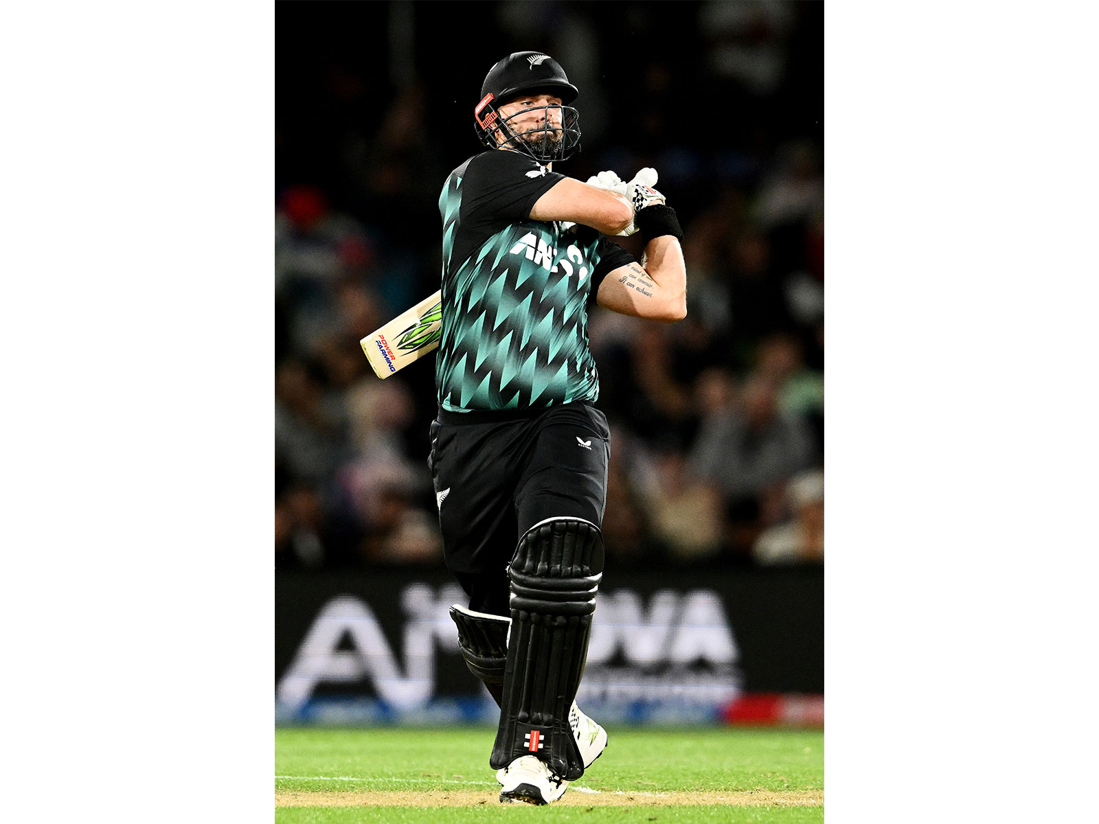 IND vs NZ 3rd T20I: Mitchell's fluent fifty powers New Zealand to 198/3 against India