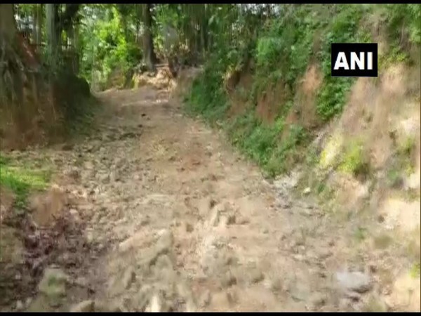Visual of the road at Telichhara village in Assam (Photo/ANI)