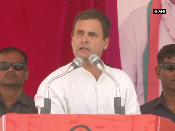 Congress president Rahul Gandhi addressing a rally in Dholpur, Rajasthan on Monday. Photo/ANI
