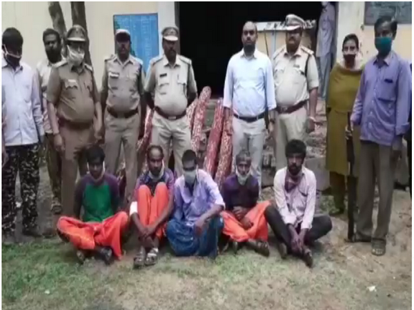 Andhra Pradesh police and Forest Department Officials with red sandars and accused. (Photo/ANI)