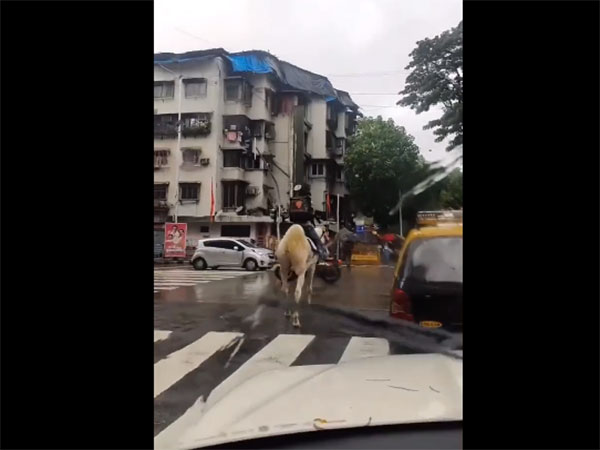 Viral video of man delivering food on horseback