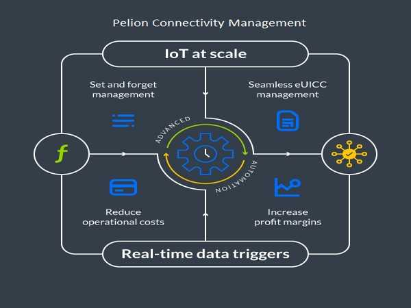 Advanced Automation Graphic Pelion