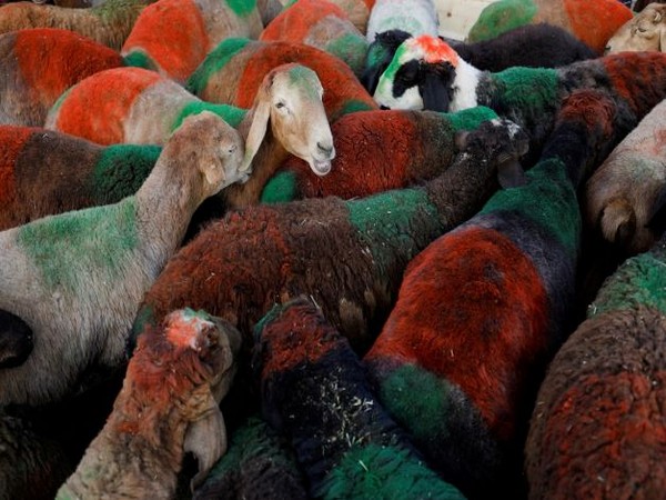 Representative Image. (Photo Credit - Reuters)