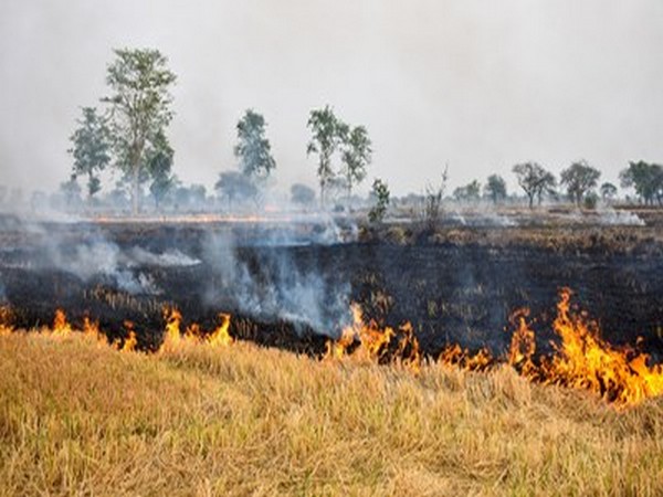 Agricultural waste burnt across large parts of India leads to increase environmental pollution, (Image courtesy: Shutterstock. For representational purpose only)