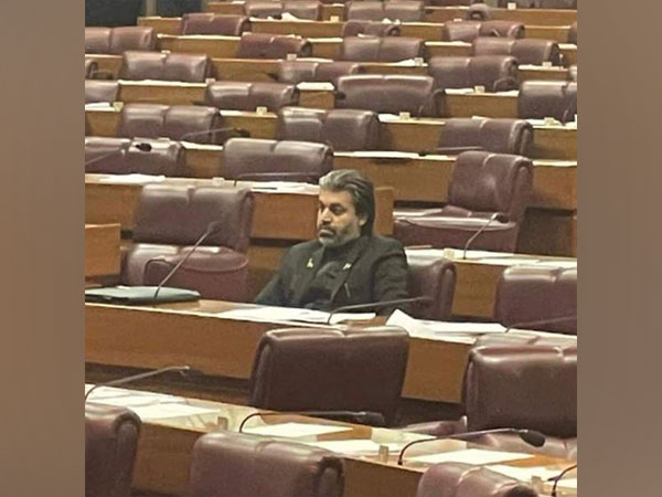 Former Minister of State for Parliamentary Affairs, Ali Muhammad Khan. (Twitter)