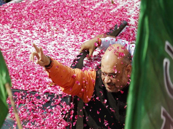 BJP president Amit Shah (File Photo)