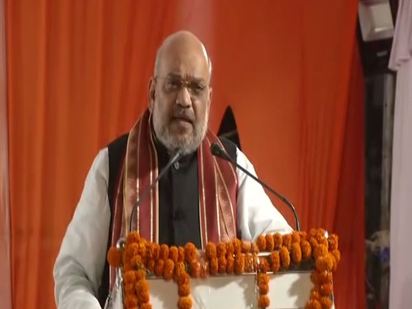 BJP president Amit Shah