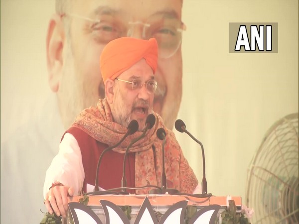 Union Home Minister Amit Shah (Photo/ANI) 