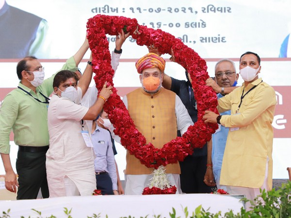 Union Minister Amit Shah in Gandhinagar (Photo/ANI)