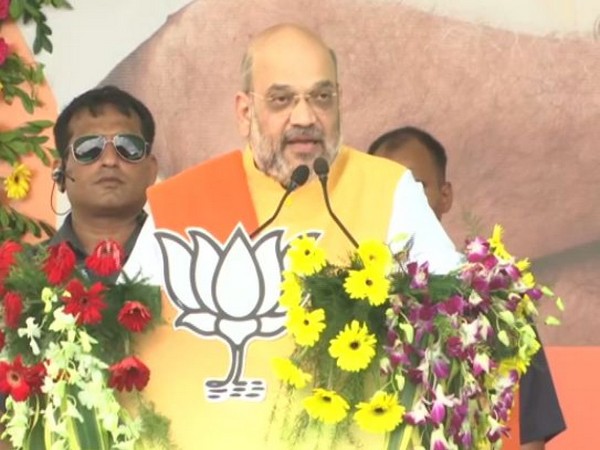 Union Home Minister and BJP President Amit Shah (File Photo)