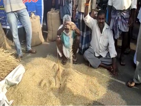 Visual from the site 