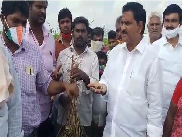 Telugu Desam Party (TDP) leader Devineni Uma Maheswara Rao. Photo/ANI