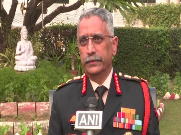 Army Chief, General MM Naravane (File Photo)