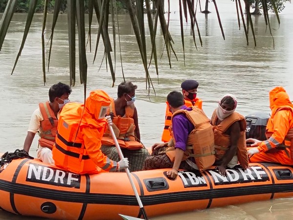 NDRF evacuates villagers and livestock in Assam's Barpeta district on Sunday.