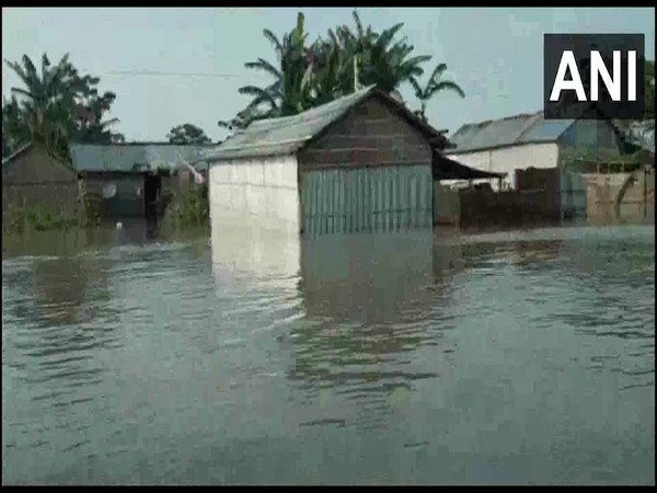 Visuals from Goalpara where river Brahmaputra is flowing above danger level.  (Photo/ANI)