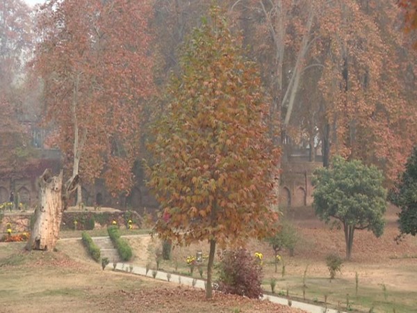 A view of a garden in Jammu and Kashmir. [Photo/ANI]