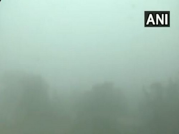 Visuals from Singhu Border (Photo/ANI)