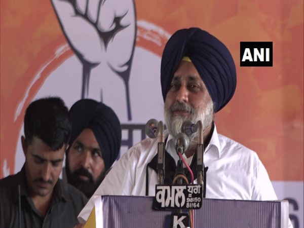 Shiromani Akali Dal president Sukhbir Singh Badal (Photo/ANI)