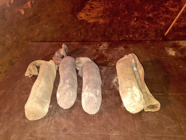 BSF foils smuggling attempt, seizes 2.250 kg heroin (Photo credits: BSF Punjab official Twitter)