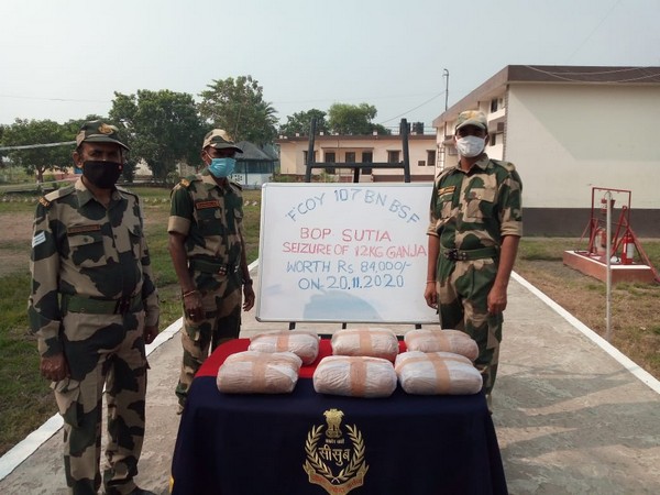 BSF apprehended 1 Phensedyl smuggler, seized 978 bootles of Phensedyl and 12 kgs of Ganja on South Bengal Frontier (Photo ANI)