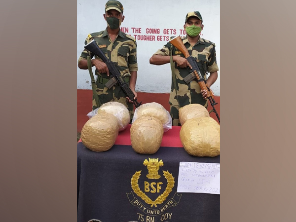 Seized cannabis (Photo/Twitter/@ANI)