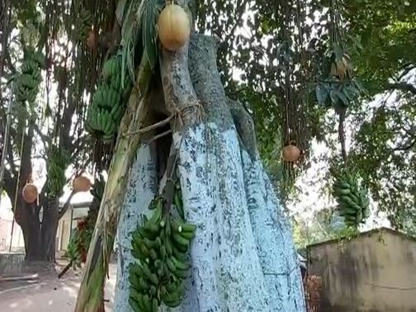 The 12-day long Bali festival concluded on Friday. [Photo/ANI]