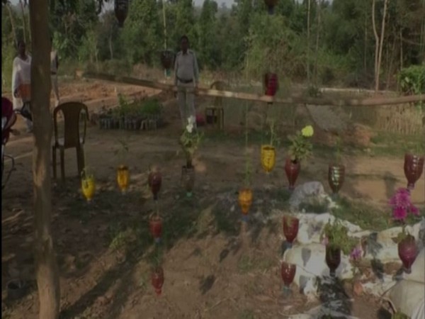 Under an initiative by Divisional Forest officer Balrampur Pranay Mishra, waste plastic bottles are being used to plant and grow saplings at Ramanujganj nursery