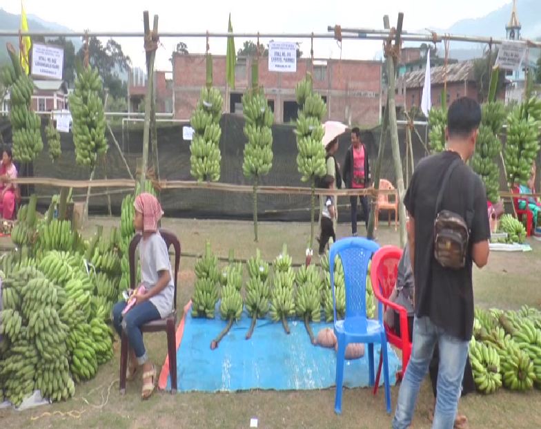 87 banana stalls were opened during the Banana festival in Noney, Manipur.