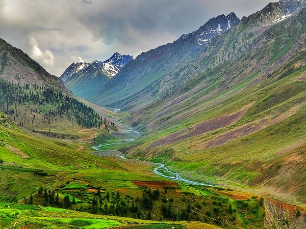 Representative Image