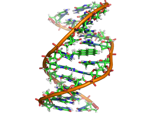 DNA circuits require testing in more realistic conditions to make sure they still flag the right cells.
