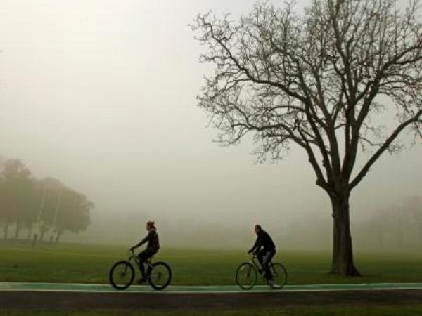 Representative Image