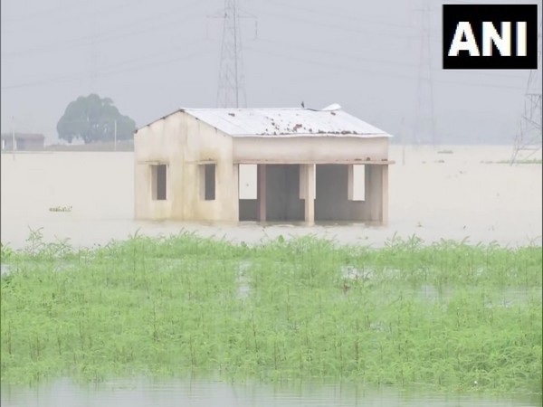 Visuals from Bihar flood. (Photo/ANI)