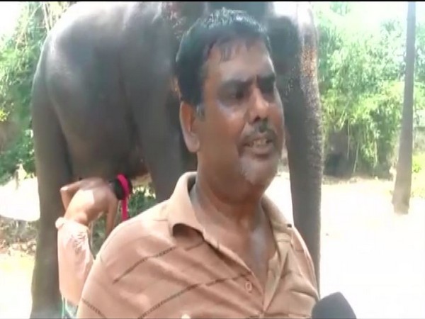 Akhtar Imam has willed property worth Rs 5 crore to two elephants. Photo/ANI