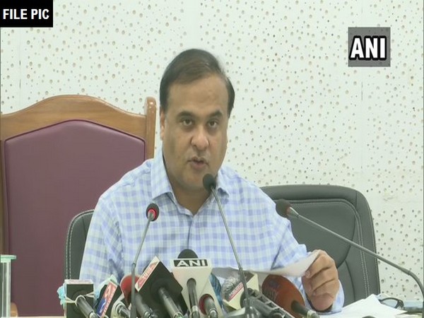 Assam Minister Himanta Biswa Sarma (File photo)