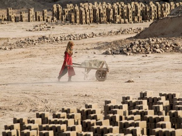 An Afghan girl pushes a wheelbarrow at a brick factory. (Photo Credit - Reuters)