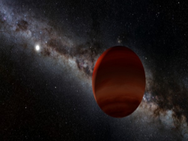 Artist's impression of white dwarf plus cold brown dwarf pair (Image credits: NOIRLab/NSF/AURA/P. Marenfeld; Acknowledgement: William Pendrill)