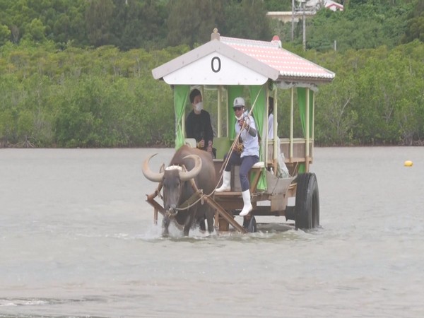 Ishigaki Island is a popular tourist attraction in Japan.