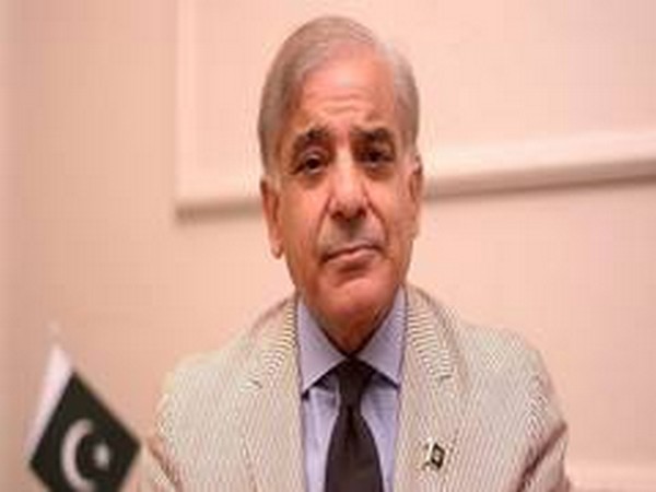 PML-N president Shehbaz Sharif (File photo)