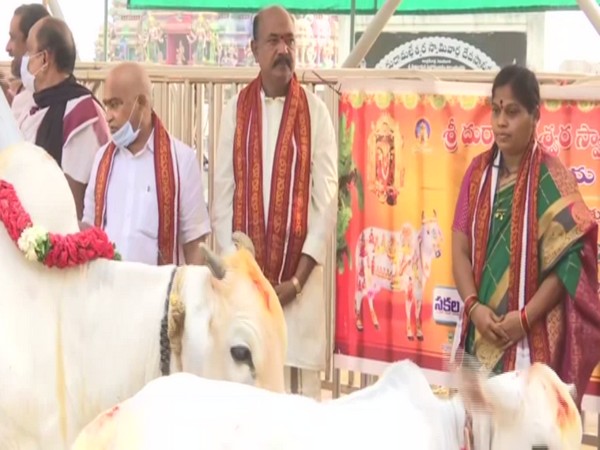 Go Puja being performed in Kanakdurga Temple